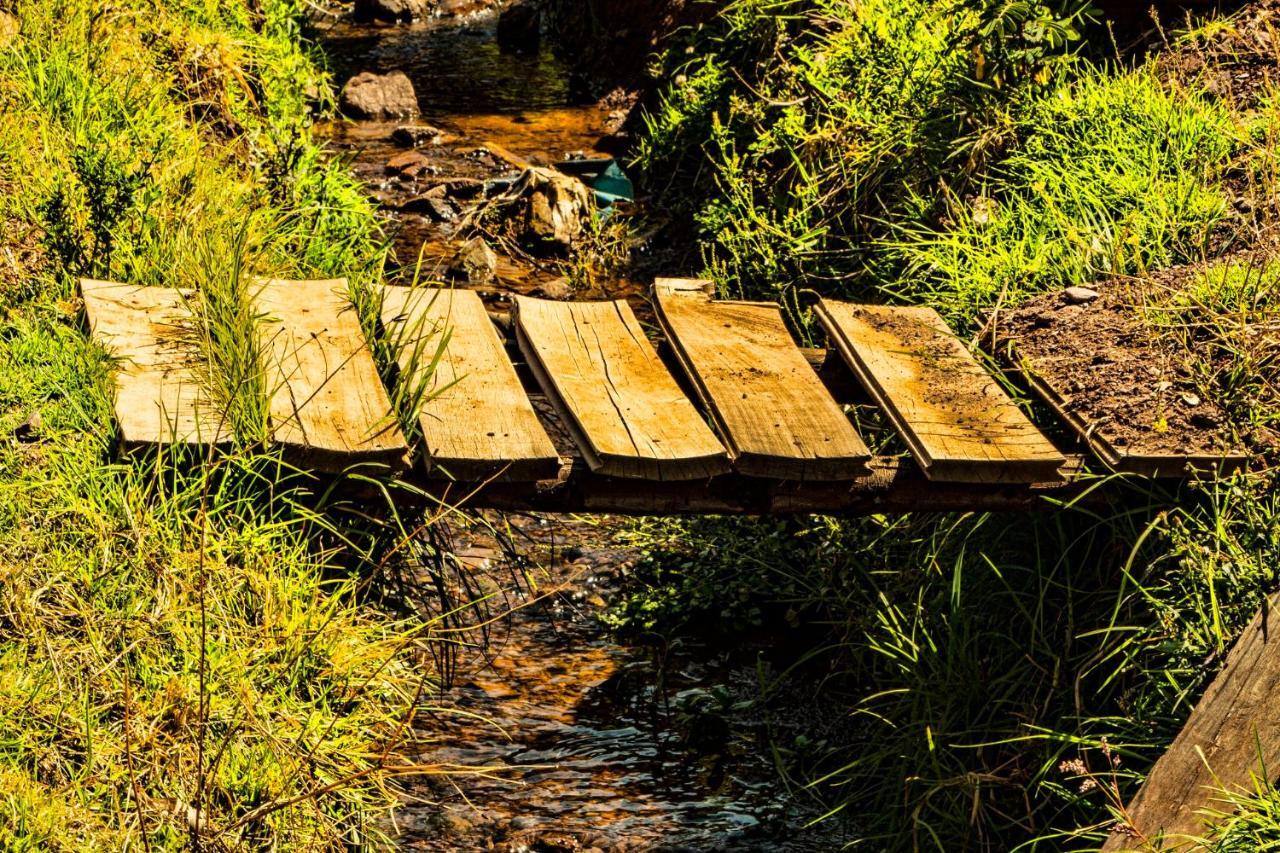 Hatha Art Yoga Pisac Dış mekan fotoğraf