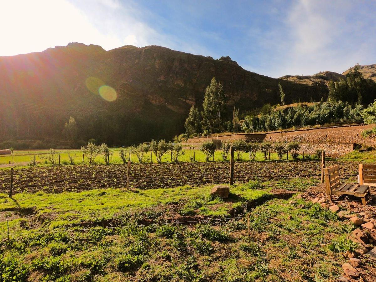 Hatha Art Yoga Pisac Dış mekan fotoğraf